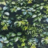 Arthouse Country Hedgerow Green 3D Effect Smooth Wallpaper -Rust-Oleum Shop arthouse country hedgerow green 3d effect smooth wallpaper5050192259477 36c