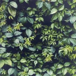 Arthouse Country Hedgerow Green 3D Effect Smooth Wallpaper 11 Arthouse Country Hedgerow Green 3D Effect Smooth Wallpaper -Rust-Oleum Shop arthouse country hedgerow green 3d effect smooth wallpaper5050192259477 37c