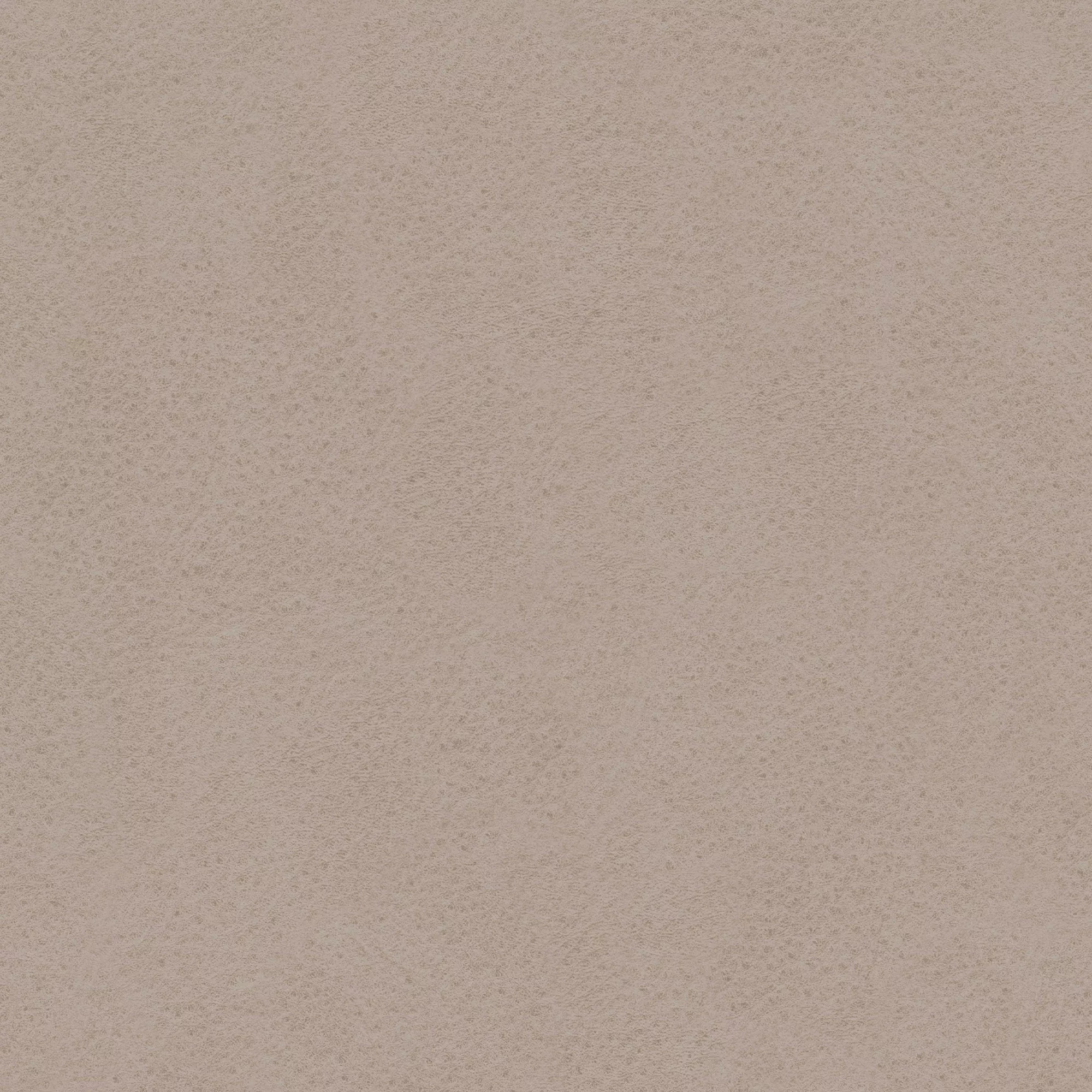 Boutique Neutral Napa Beige Textured Wallpaper 4 Boutique Neutral Napa Beige Textured Wallpaper - Image 2