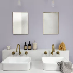 Craig & Rose 1829 Tribune  Chalky Emulsion Paint, 2.5L -Rust-Oleum Shop craig rose 1829 tribune chalky emulsion paint 2 5l5036211062488 01i bq