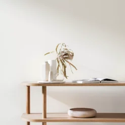 Craig & Rose 1829 White Doe Eggshell Wall Paint, 750ml 9 Craig & Rose 1829 White Doe Eggshell Wall Paint, 750ml -Rust-Oleum Shop craig rose 1829 white doe eggshell wall paint 750ml5036211066943 01i bq