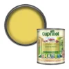 Cuprinol Garden Shades Dazzling Yellow Matt Multi-surface Exterior Wood Paint, 1L -Rust-Oleum Shop cuprinol garden shades dazzling yellow matt multi surface exterior wood paint 1l5010212619377 02c bq