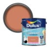 Dulux Easycare Bathroom Frosted Papaya Soft Sheen Wall Paint, 2.5L -Rust-Oleum Shop dulux easycare bathroom frosted papaya soft sheen wall paint 2 5l5010212668627 02c bq