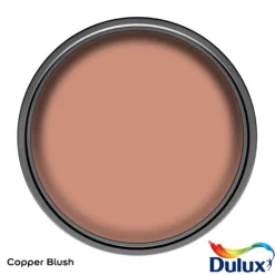 Dulux Easycare Kitchen Copper Blush Matt Wall Paint, 2.5L -Rust-Oleum Shop dulux easycare kitchen copper blush matt wall paint 2 5l5010212668429 12c bq