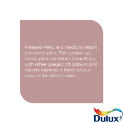 Dulux Easycare Washable & Tough Pressed Petal Matt Wall Paint, 2.5L -Rust-Oleum Shop dulux easycare washable tough pressed petal matt wall paint 2 5l5010212658581 36c bq