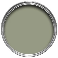 Farrow & Ball Estate Lichen No.19 Matt Emulsion Paint, 2.5L -Rust-Oleum Shop farrow ball estate lichen no 19 matt emulsion paint 2 5l5029496021929 21c bq