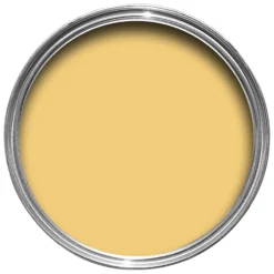 Farrow & Ball Modern Citron No.74 Eggshell Paint, 750ml -Rust-Oleum Shop farrow ball modern citron no 74 eggshell paint 750ml5051836297749 12c bq