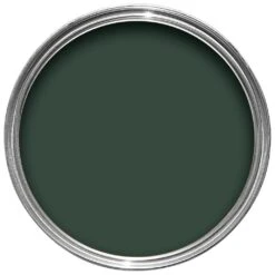 Hammerite Wild Thyme Gloss Exterior Metal Paint, 250ml -Rust-Oleum Shop hammerite wild thyme gloss exterior metal paint 250ml5010212562192 21c bq