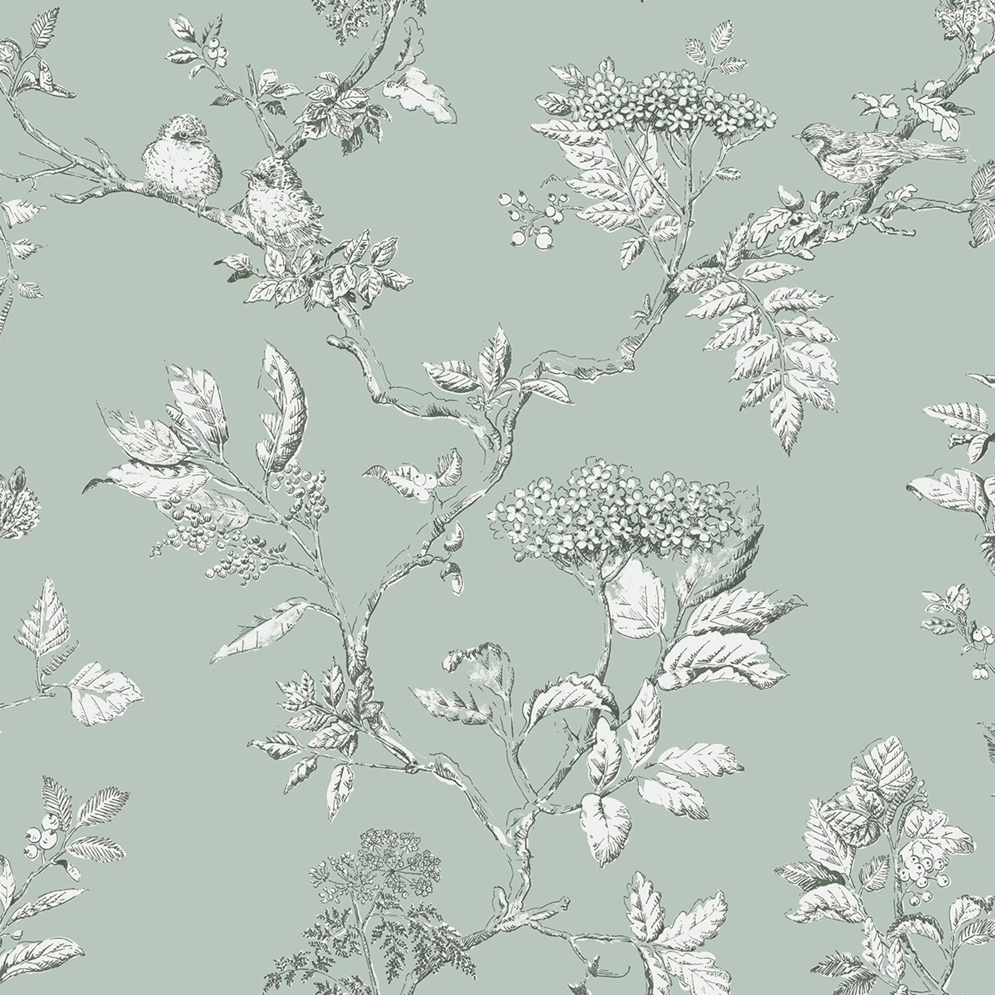 Laura Ashley Elderwood Duck Egg Floral Smooth Wallpaper 3 Laura Ashley Elderwood Duck Egg Floral Smooth Wallpaper