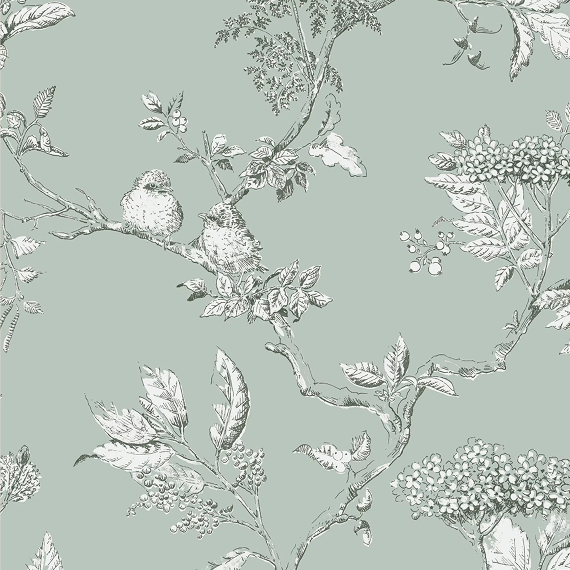 Laura Ashley Elderwood Duck Egg Floral Smooth Wallpaper 5 Laura Ashley Elderwood Duck Egg Floral Smooth Wallpaper - Image 3