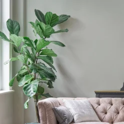 Laura Ashley Pale Sage Leaf Matt Emulsion Paint, 5L -Rust-Oleum Shop laura ashley pale sage leaf matt emulsion paint 5l5011583473117 01i bq