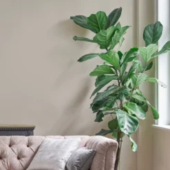 Laura Ashley Soft Natural Matt Emulsion Paint, 2.5L -Rust-Oleum Shop laura ashley soft natural matt emulsion paint 2 5l5011583472141 02i bq