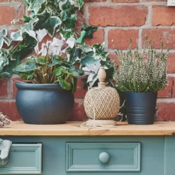 Rust-Oleum Black Sand Matt Furniture Paint, 750ml -Rust-Oleum Shop rust oleum black sand matt furniture paint 750ml5013296131506 01i bq