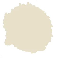 Rust-Oleum Natural Effects Limestone Matt Textured Effect Multi-surface Spray Paint, 400ml -Rust-Oleum Shop rust oleum natural effects limestone matt textured effect multi surface spray paint 400ml5013296953573 21c bq