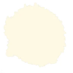 Rust-Oleum Painter's Touch Antique White Gloss Multi-surface Decorative Spray Paint, 400ml -Rust-Oleum Shop rust oleum painter s touch antique white gloss multi surface decorative spray paint 400ml5013296950282 21c bq