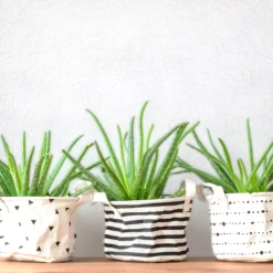 Superfresco White Stipple Textured Wallpaper -Rust-Oleum Shop superfresco white stipple textured wallpaper5011655002054 20i bq