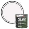 Zinsser Peel Stop Transparent Wall & Ceiling Satin Binding Primer, 2.5L -Rust-Oleum Shop zinsser peel stop transparent wall ceiling satin binding primer 2 5l5037898614106 02c bq